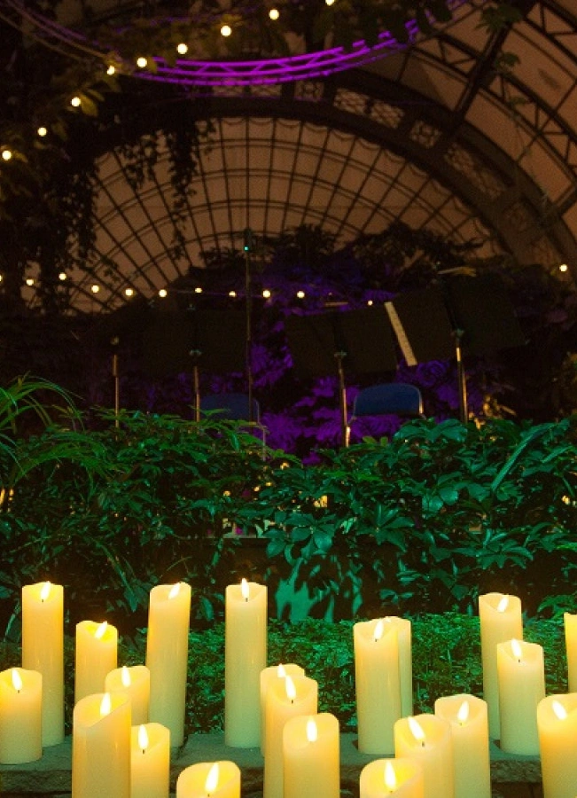 Концерт в оранжерее Таврического сада «Бах при свечах»