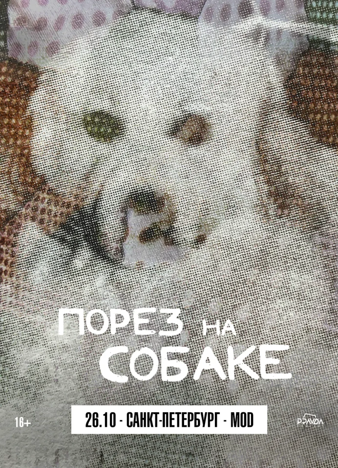 Порез на собаке