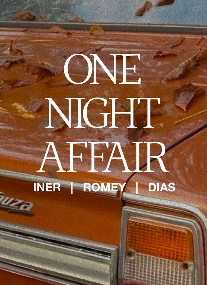 One Night Affair