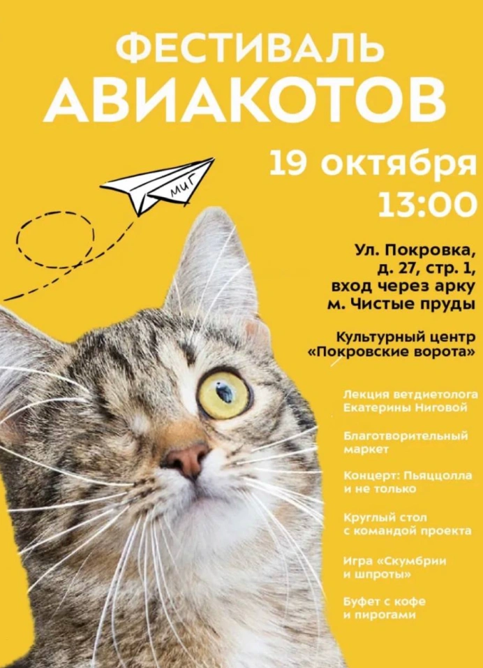 Фестиваль авиакотов