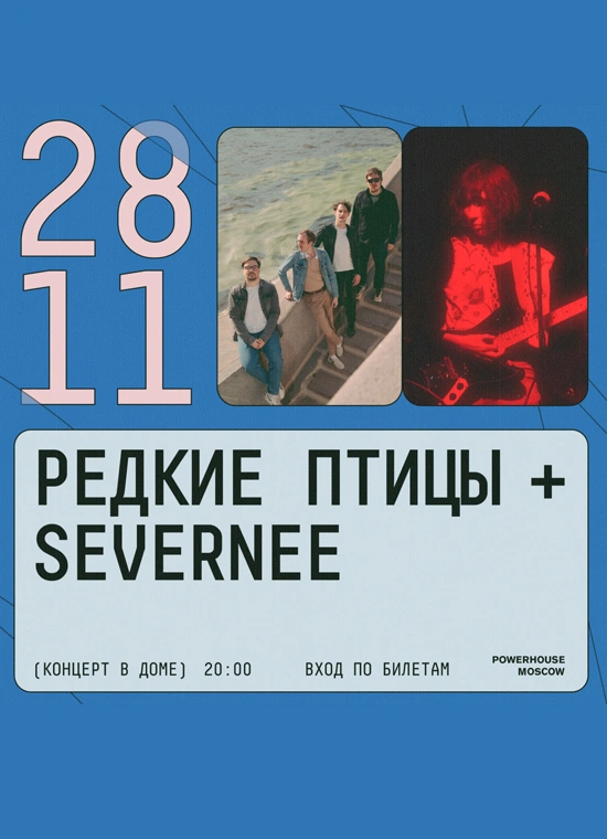 Редкие Птицы + Severnee