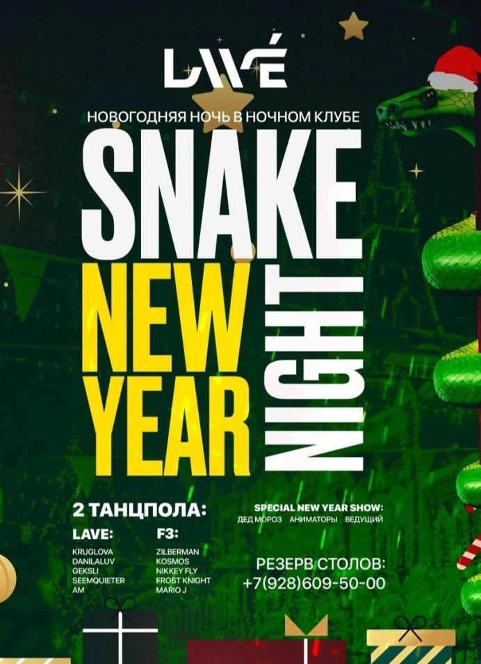 Snake New Year Night