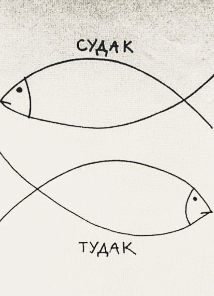 Кулинарный мастер-класс: рыбный день