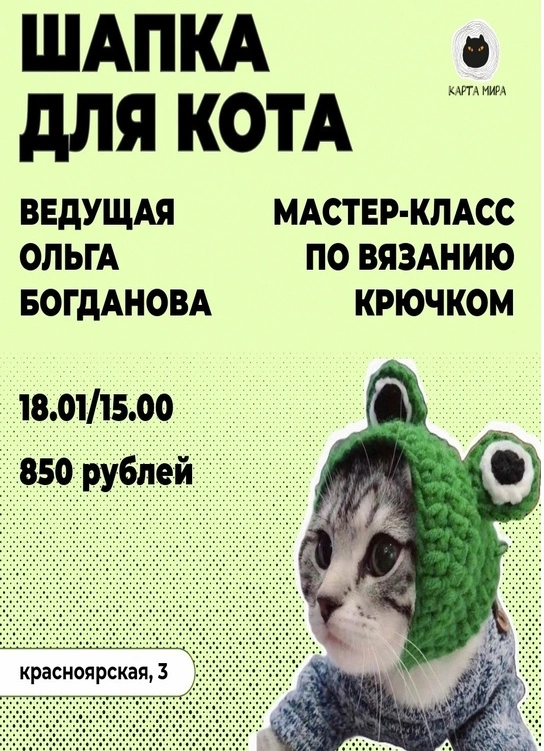 Вяжем шапку для кота