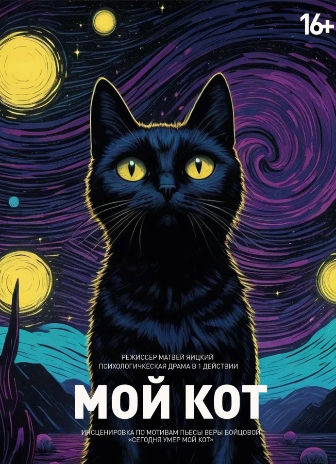 Мой кот