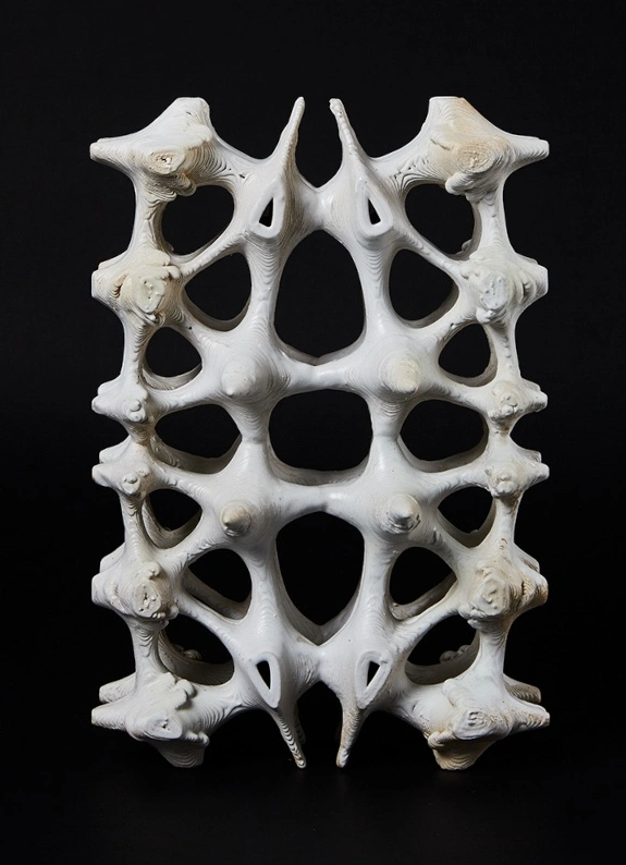 Symbiosis. Vol.1
