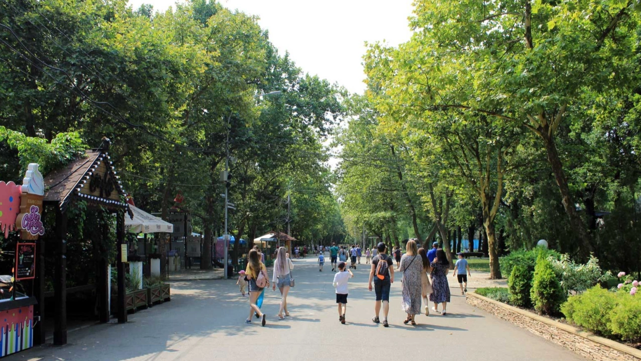 Карточка