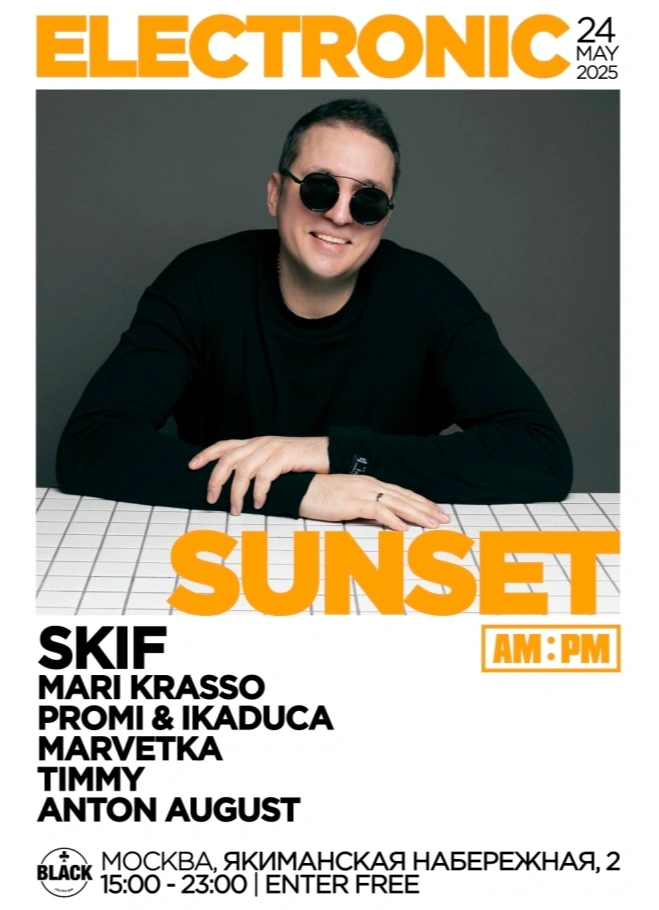 Electronic Sunset