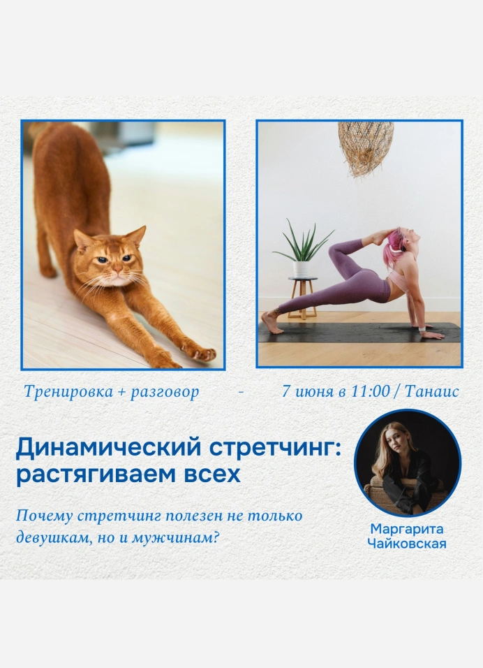 Динамический стретчинг