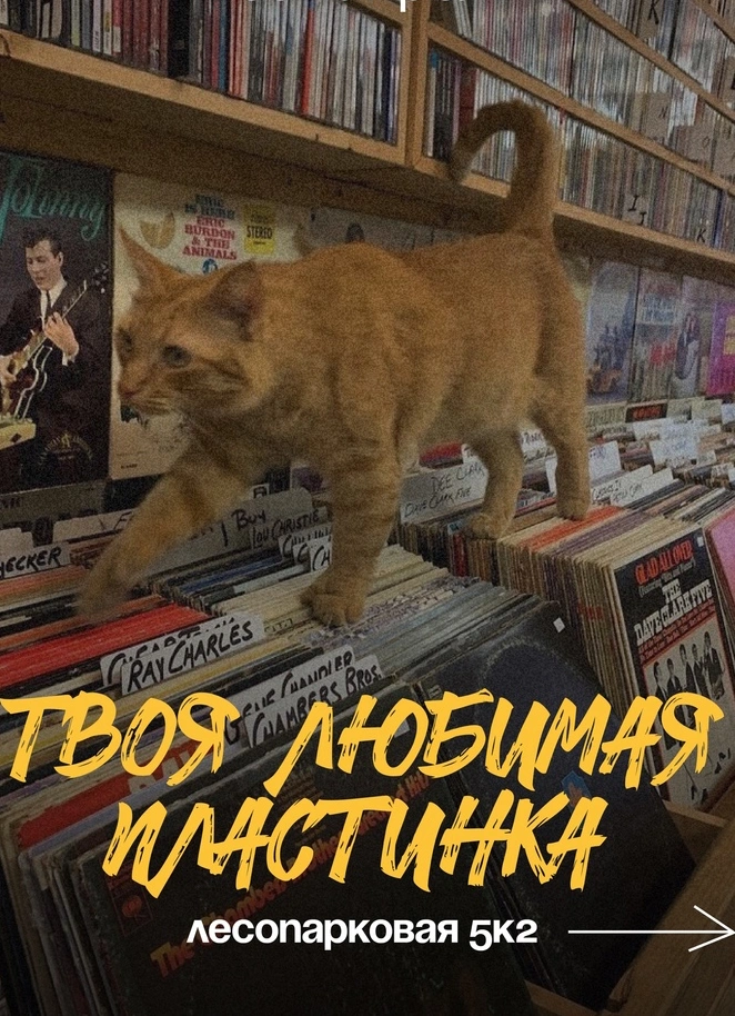 Клуб любителей винила