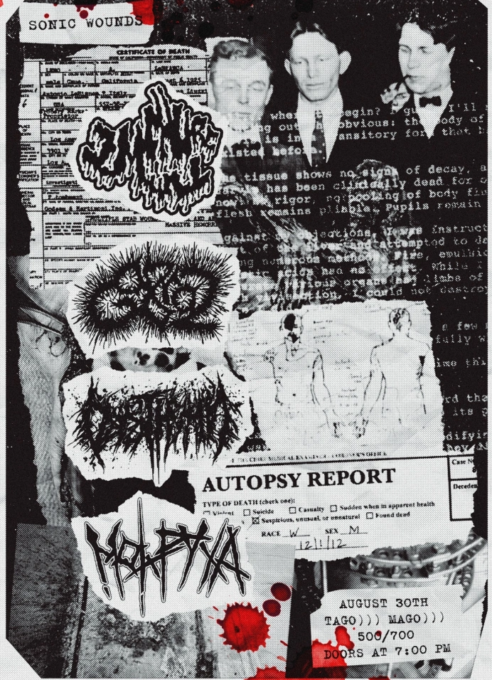 Sonic Wounds