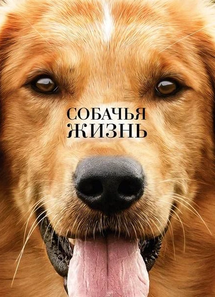 Кино под открытым небом