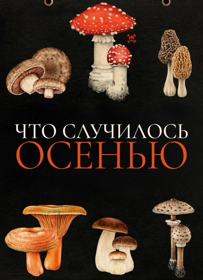 Обложка