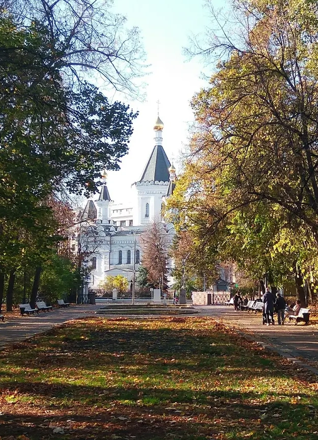 Лекари и благодетели на девичьем поле