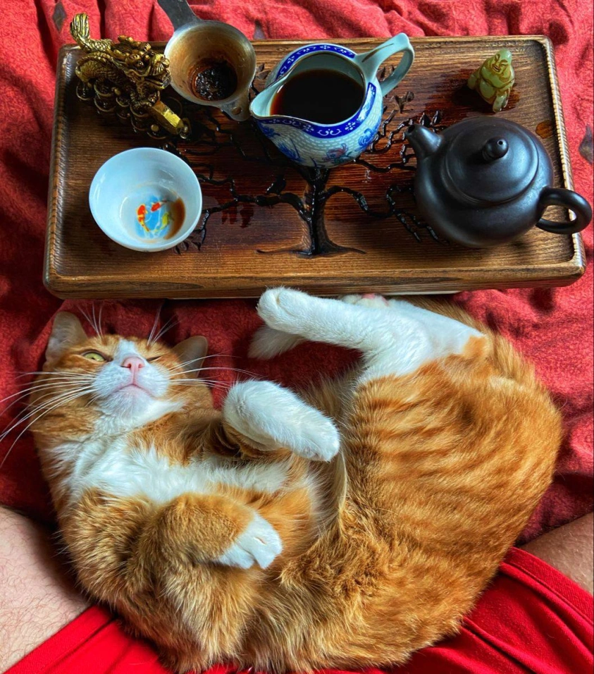 Карточка