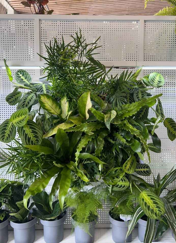 Гаражная распродажа в Green Market