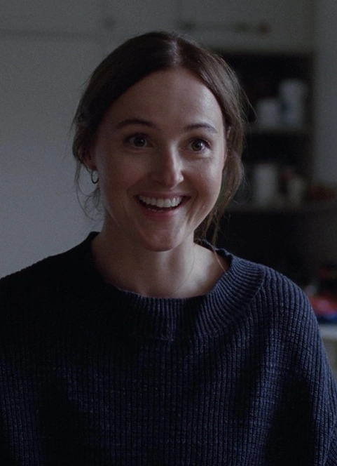 Понимаем кино. Современный кинематограф Скандинавии