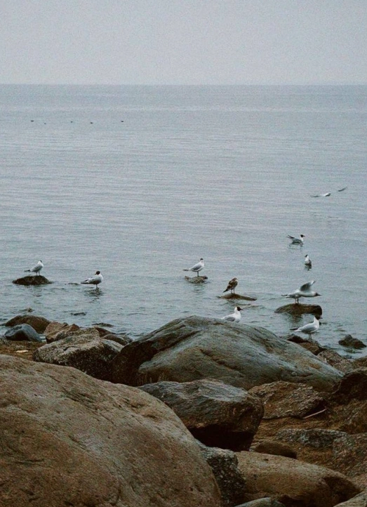 Йога-выезд с баней