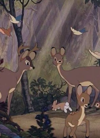 The Magic of Classic Disney