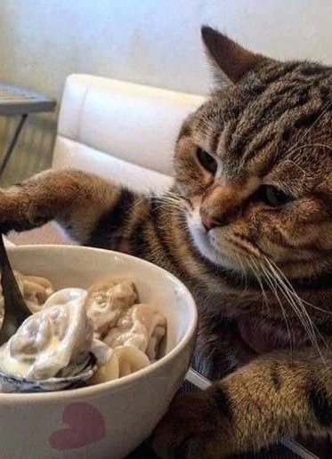 Пельменная вечеринка