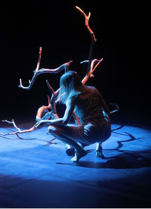 Перформансы «Очевидная жертва» / «Roots»