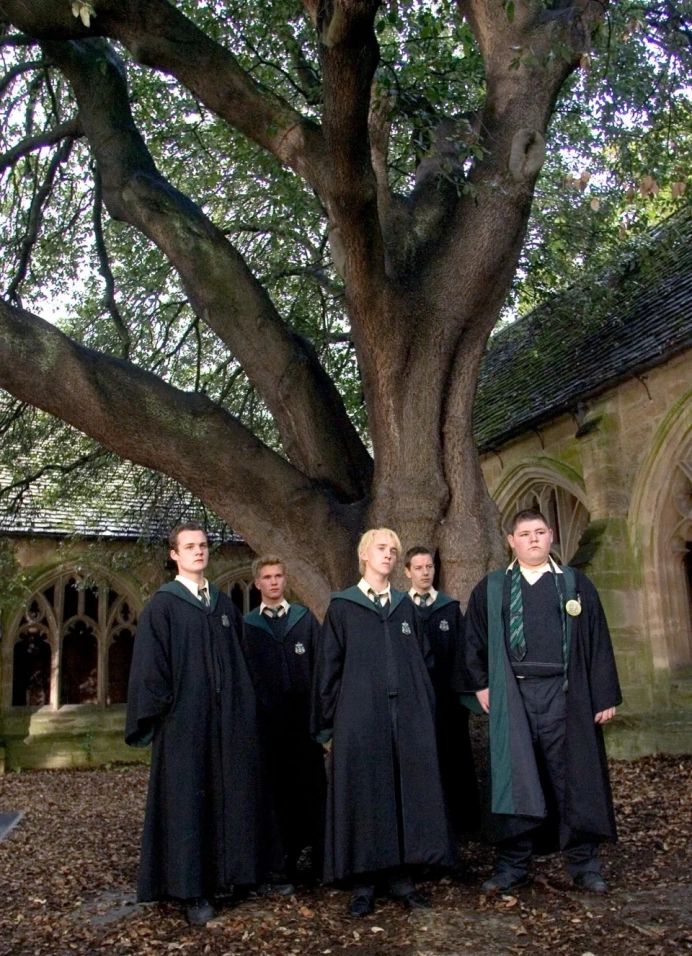 Гарри Поттер и Кубок огня