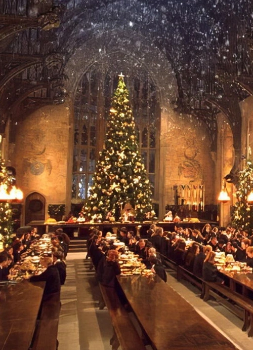 Арт-ужин: «Вселенная Гарри Поттера»