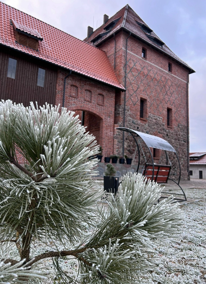 Рождество в замке Тапиау