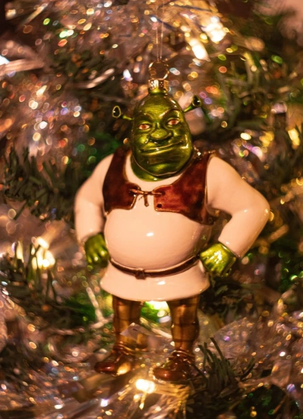 Shrek Rave: new year