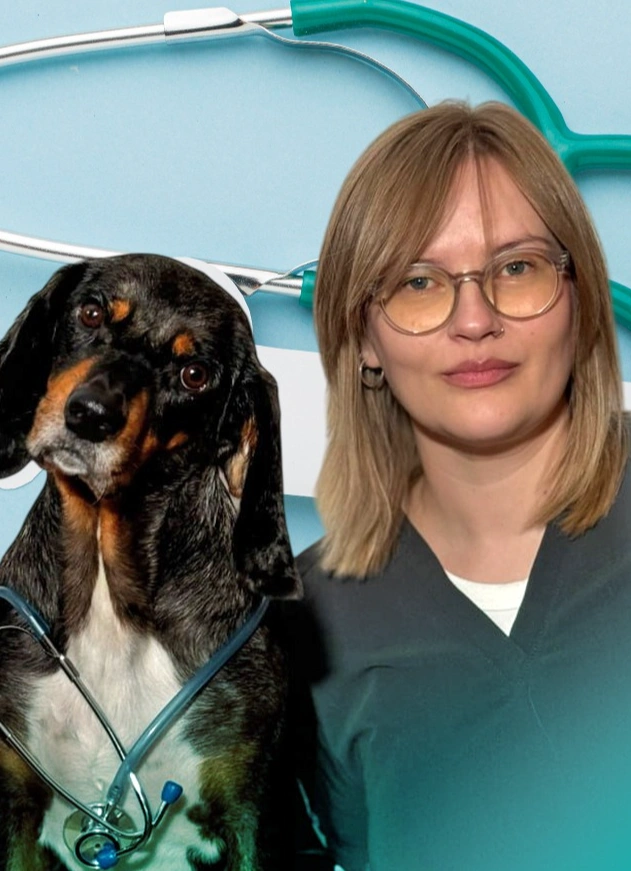 Собака — врач человека