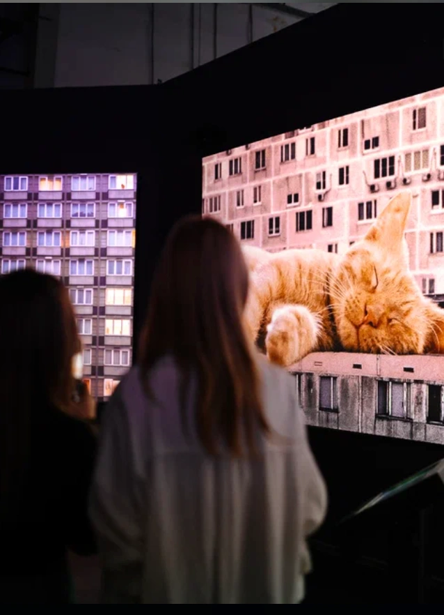 Nur Now x T2 «Страна. Связь. Технологии»