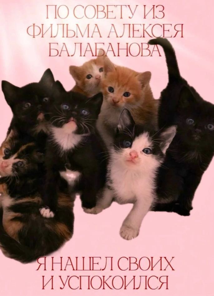 Равная группа поддержки: опыт жизни с аутизмом