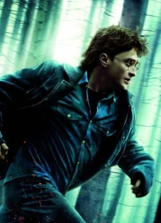 Кинопоказ «Гарри Поттер и Дары Смерти: Часть I»