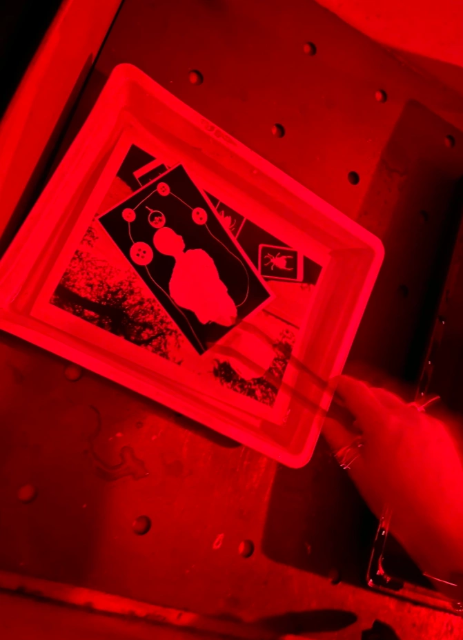 Мастер-класс по фотограммам с письменной практикой