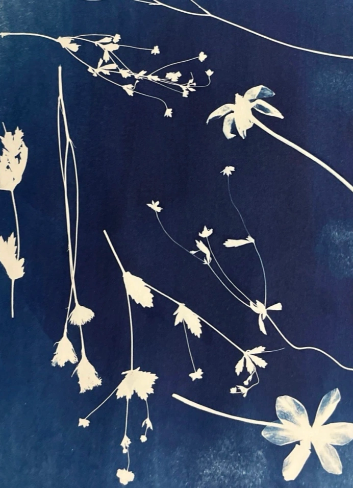 Мастер-класс по цианотипии с письменной практикой