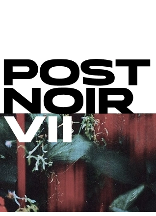 Post Noir VII
