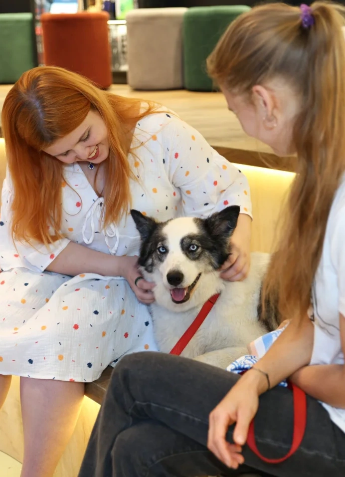 Чтение с собаками