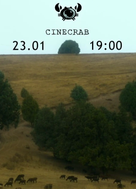 Показ короткометражек фестиваля «Восток&Запад. Классика и Авангард»