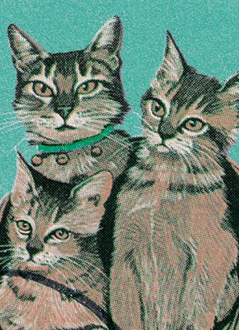 Порез на Собаке