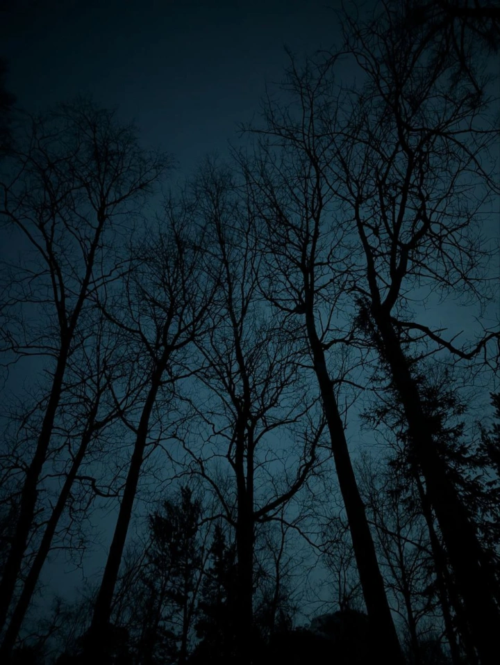 Сумеречный арт-тур на Столбы