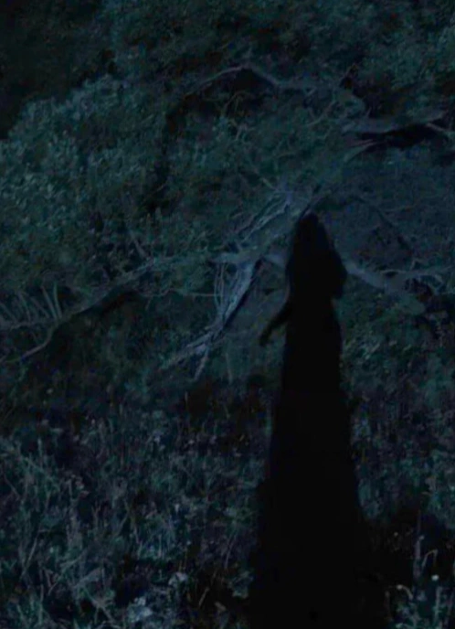 Специальный показ: «Галлюцинат» + лекция философа