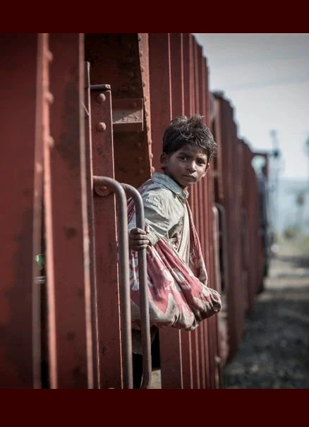 Кинопоказ: «Лев»