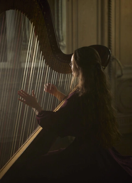 Классика в особняке: светский салон