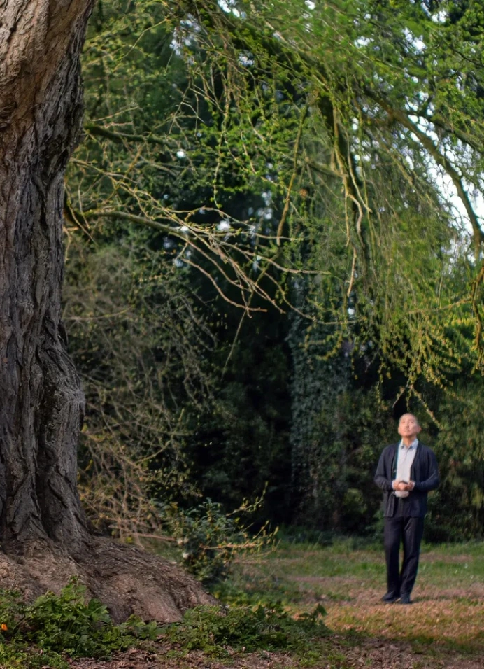 Молчаливый друг