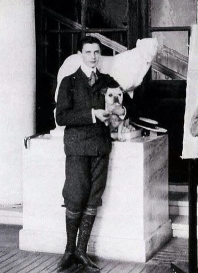 Богемный арт-бранч