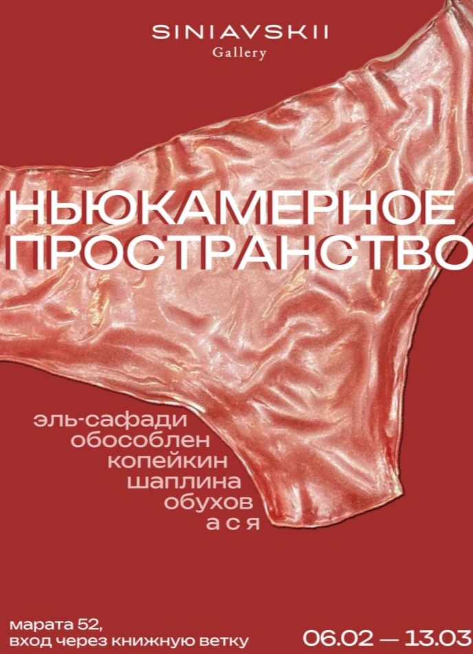 Ньюкамерное пространство