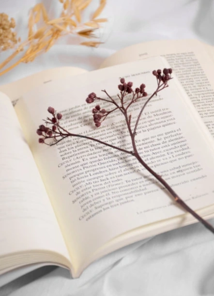 Liberami. Неформальный книжный клуб