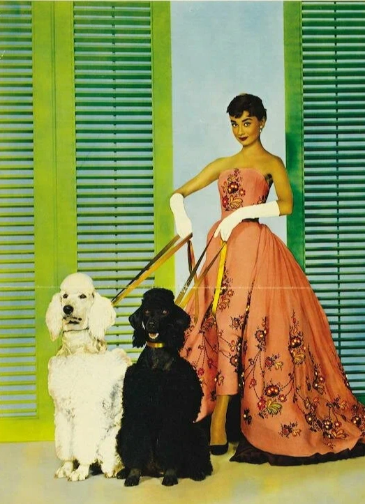 Кинопоказ «Сабрина»