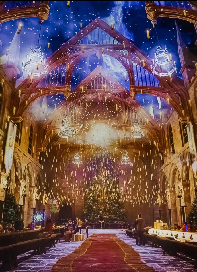 Гарри Поттер: Музыкальное шоу в планетарии