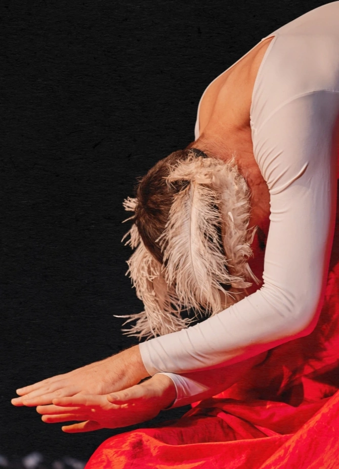 Бешеная Балерина